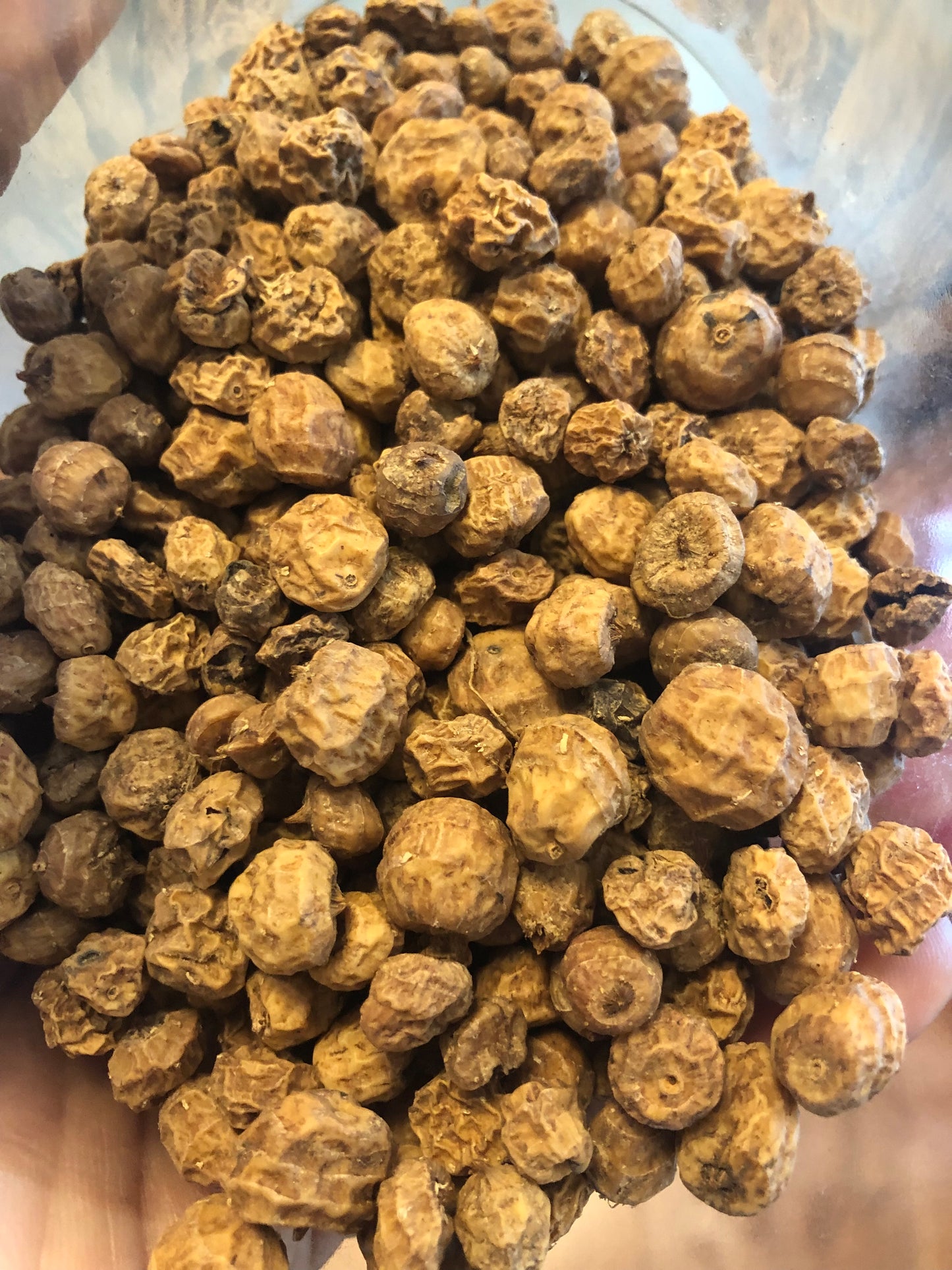 Tiger nuts