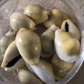 Cowries
