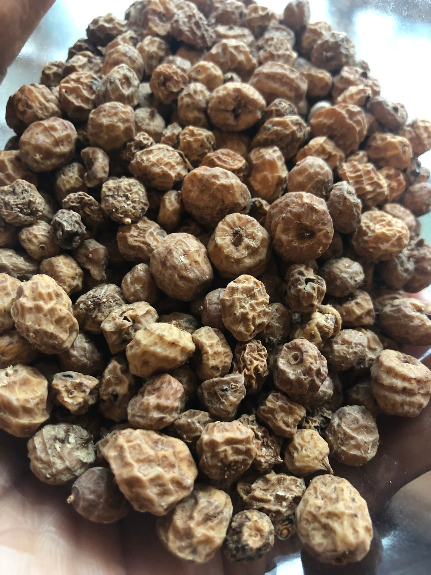 Tiger nuts